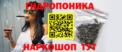 гашик Краснодар