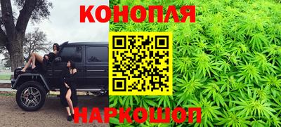 мяу мяу мука Краснознаменск