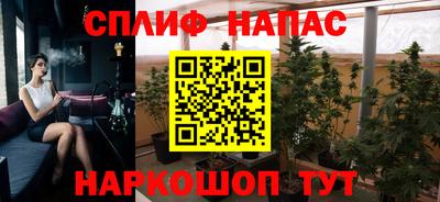 гашик Краснодар