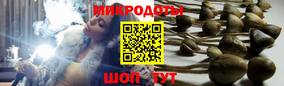 Галлюциногенные грибы Magic Shrooms  Галлюциногенные грибы Psilocybine cubensis  Вход с VPN  где найти   Кириши 